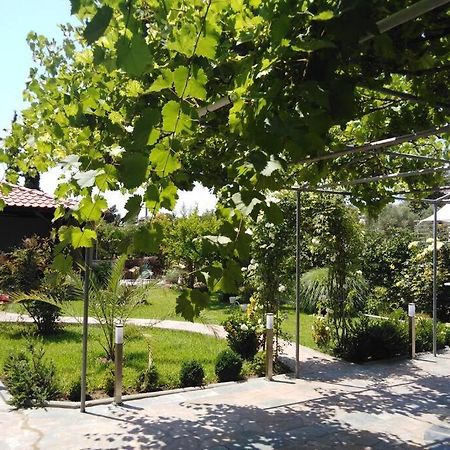 Villa Viktoria Halkidiki Nea Silata Esterno foto