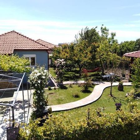 Villa Viktoria Halkidiki Nea Silata Esterno foto