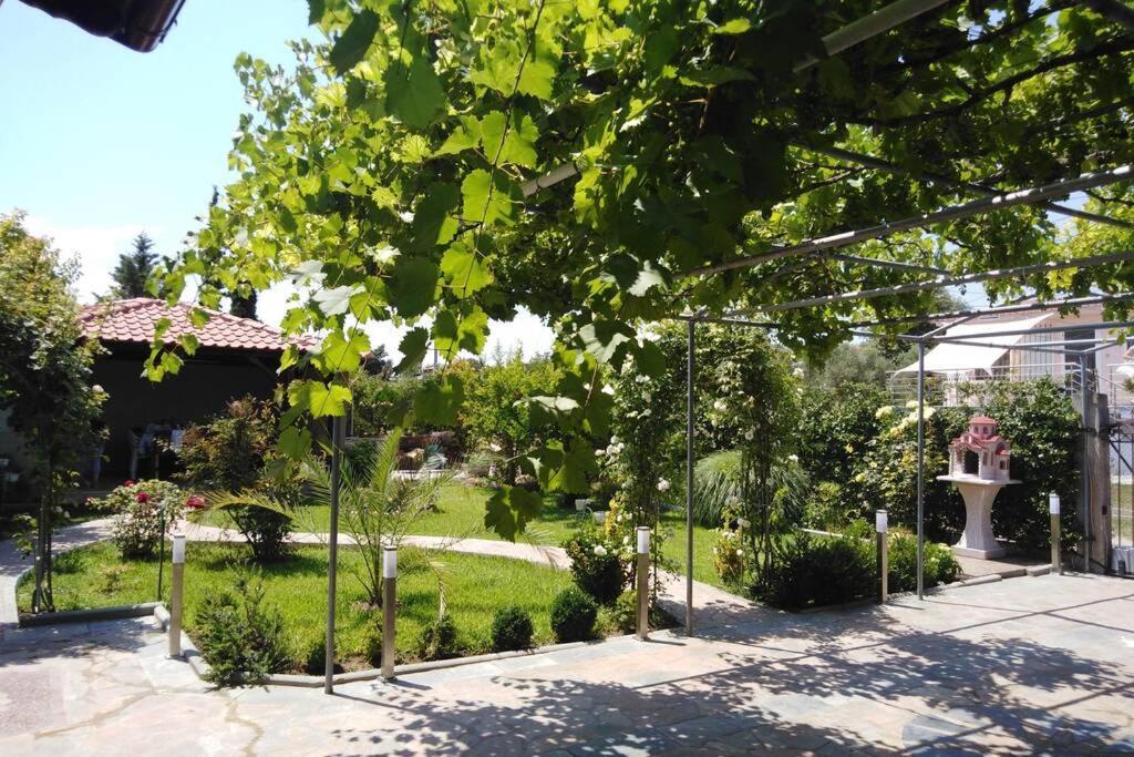 Villa Viktoria Halkidiki Nea Silata Esterno foto
