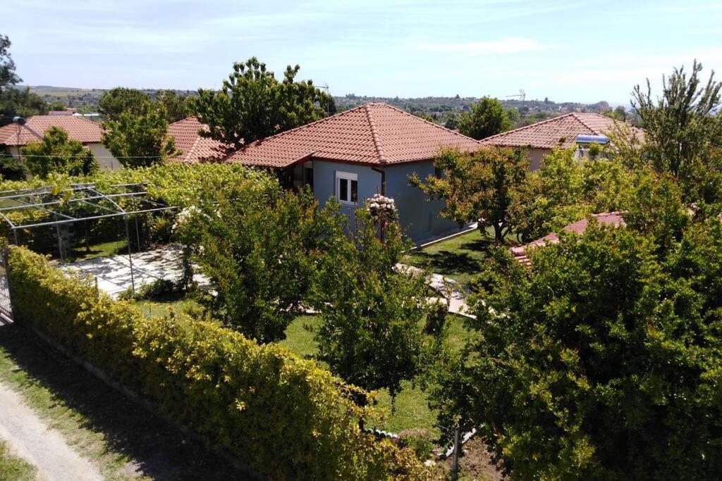 Villa Viktoria Halkidiki Nea Silata Esterno foto