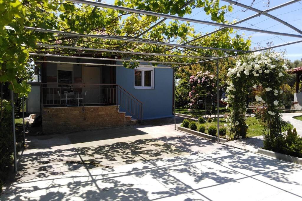 Villa Viktoria Halkidiki Nea Silata Esterno foto