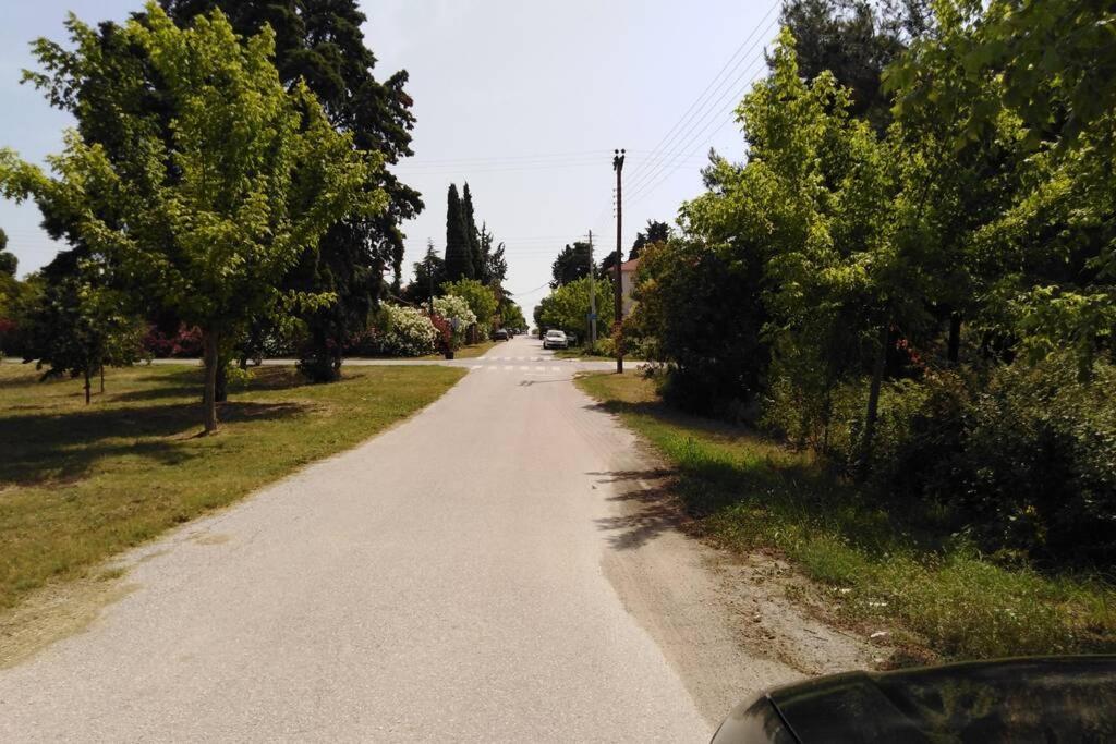 Villa Viktoria Halkidiki Nea Silata Esterno foto