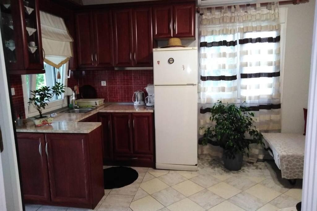 Villa Viktoria Halkidiki Nea Silata Esterno foto
