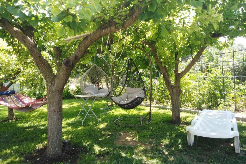 Villa Viktoria Halkidiki Nea Silata Esterno foto