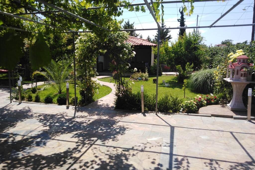Villa Viktoria Halkidiki Nea Silata Esterno foto