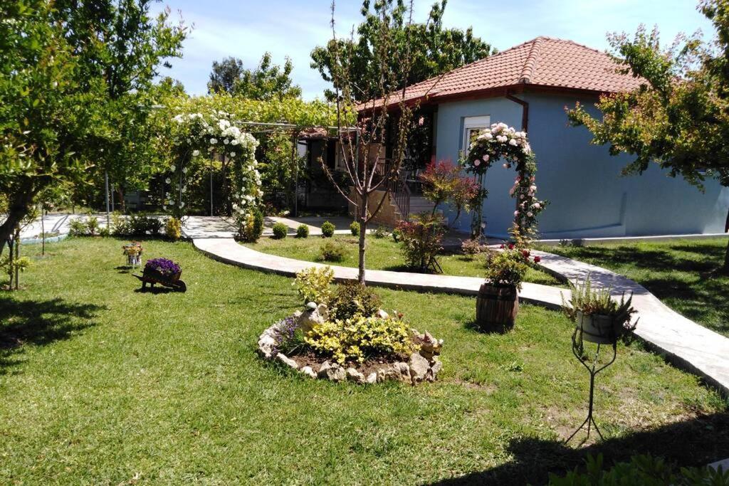 Villa Viktoria Halkidiki Nea Silata Esterno foto